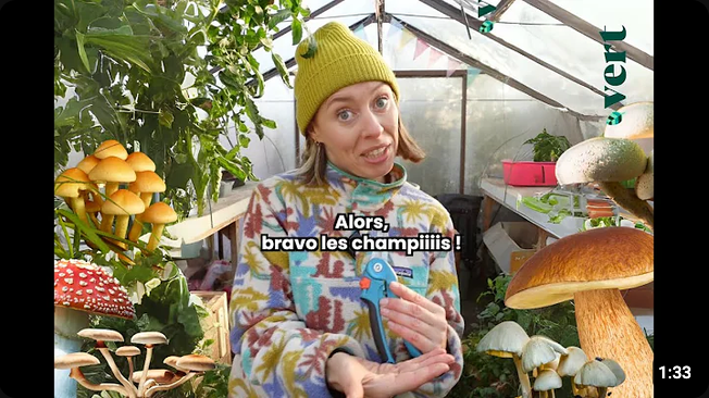 Screenshot 2026-07-27 at 18-38-50 tous les secrets des champignos dévoilés vert - YouTube