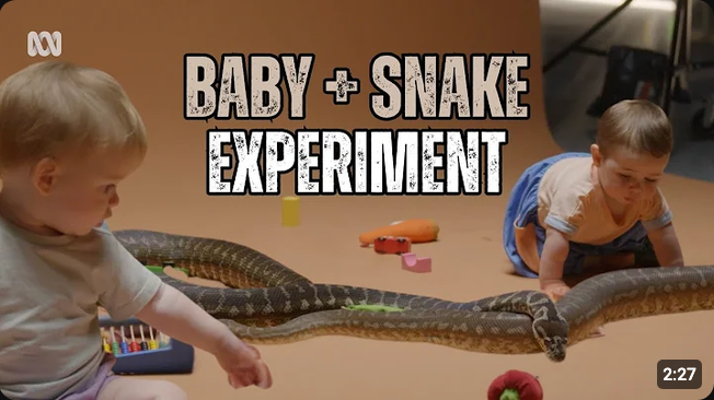 Screenshot 2026-07-27 at 18-56-46 La raison surprenante pour laquelle les bébés nont pas peur des serpents Secret Science - YouTube