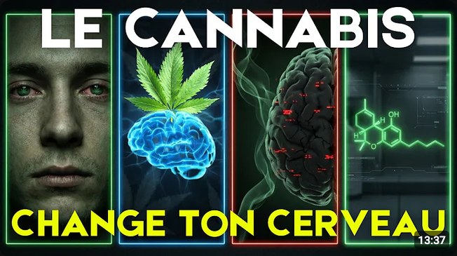 Screenshot 2026-07-28 at 13-35-53 Cannabis Ce Que Dit Vraiment la Science sur Ton Cerveau - YouTube
