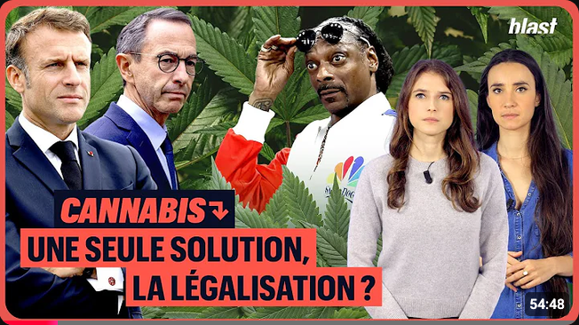 Screenshot 2026-07-31 at 23-25-12 cannabis une seule solution - YouTube