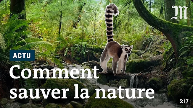Screenshot 2026-08-05 at 15-35-23 quelles solutions reste-il pour sauver la biodiversité - YouTube