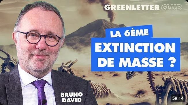 Screenshot 2026-08-05 at 15-51-48 vers une sixième extinction de masse bruno - YouTube