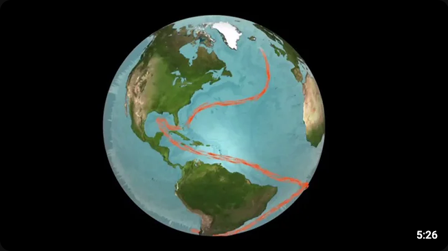 Screenshot 2026-08-05 at 16-16-18 decouverte le gulf stream ce système régulateur - YouTube