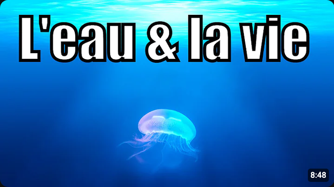 Screenshot 2026-08-05 at 16-46-57 leau cest la vie - YouTube