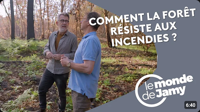 Screenshot 2026-08-05 at 17-07-26 La forêt face au dérèglement climatique agir dans l’incertitude - YouTube