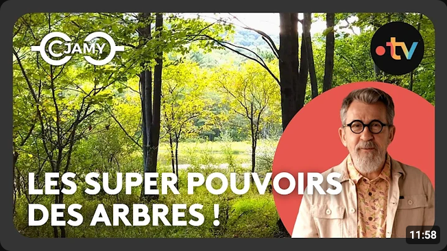 Screenshot 2026-08-05 at 17-22-40 les arbres communiquent - YouTube