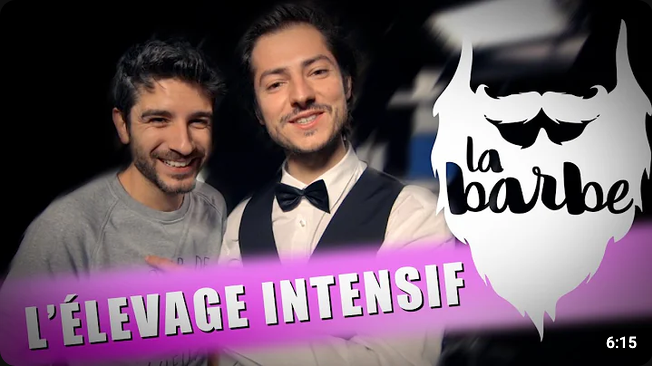 Screenshot 2026-08-07 at 11-02-06 lélevage intensif la barbe - YouTube