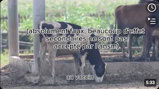 Screenshot 2026-08-07 at 11-41-23 La Table de Gaya - YouTube