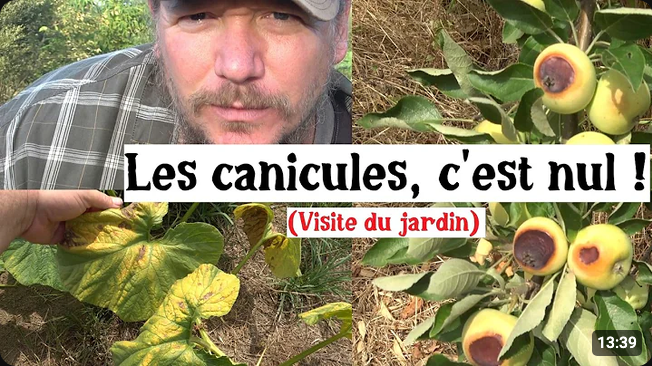 Screenshot 2026-08-07 at 11-54-17 Après plusieurs canicules... voilà létat du jardin - YouTube