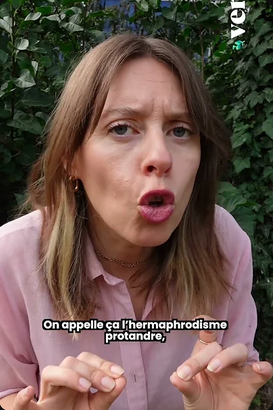 Screenshot 2026-08-17 at 15-29-04 la natture est queer depuis toujours - YouTube
