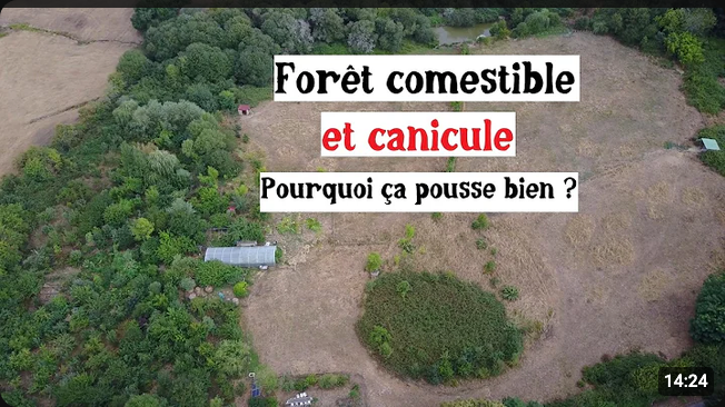 Screenshot 2026-08-31 at 15-20-48 permaculture - YouTube