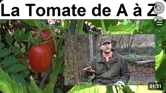 Screenshot 2026-08-31 at 22-30-05 permaculture agroécologie etc... - YouTube