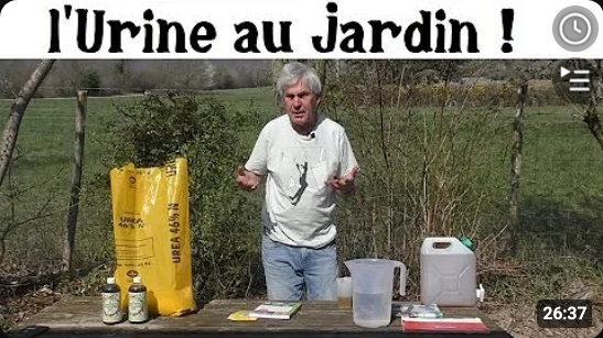 Screenshot 2026-08-31 at 22-34-14 permaculture agroécologie etc... - YouTube