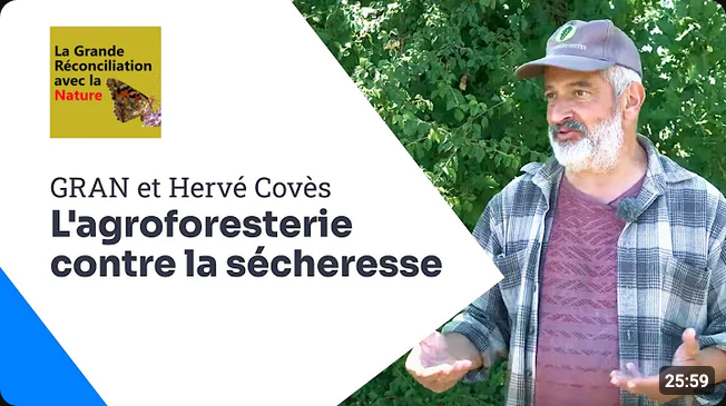 Screenshot 2026-08-31 at 22-36-46 Agro-foresterie - YouTube