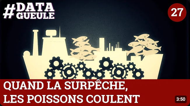 Screenshot 2026-09-13 at 18-57-21 la surpêche humour - YouTube