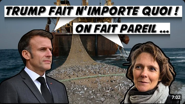 Screenshot 2026-09-14 at 12-36-02 (1) ANALYSE DU CLASH PASCAL PRAUD VS CLAIRE NOUVIAN - YouTube